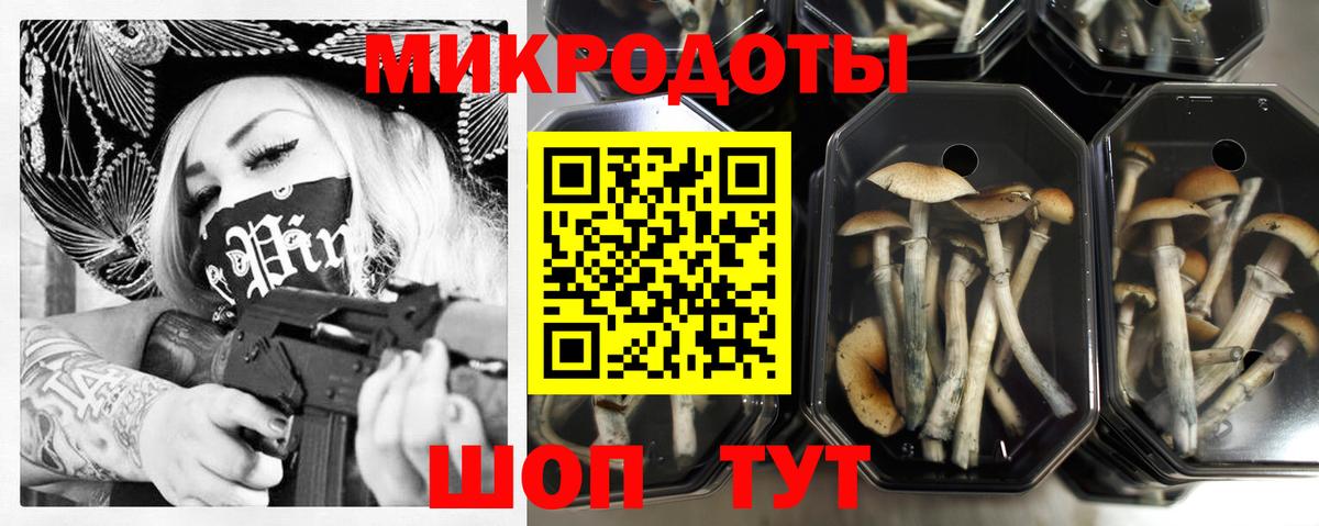 Галлюциногенные грибы Psilocybine cubensis Октябрьский